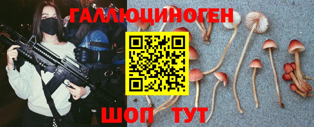 Усть-Илимск  Галлюциногенные грибы Magic Shrooms  Вход с VPN 